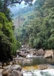 <p> Below the waterfall. This is where most Perisama are from. </p>